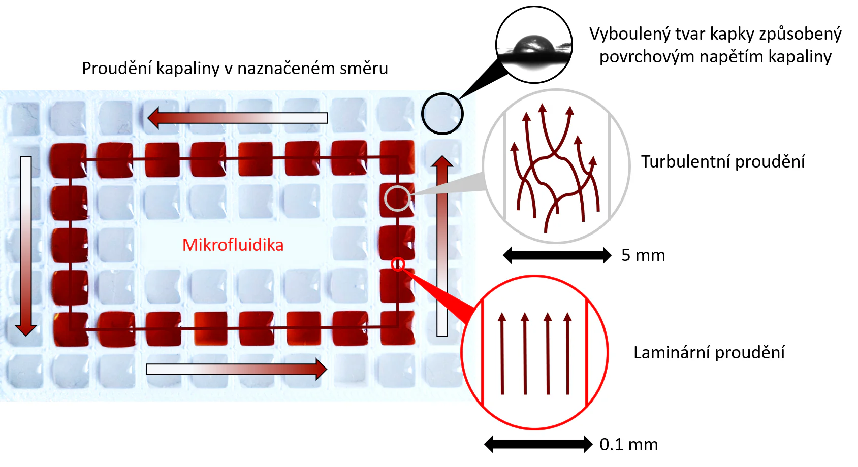 Proudění kapaliny v mikrokanálkách